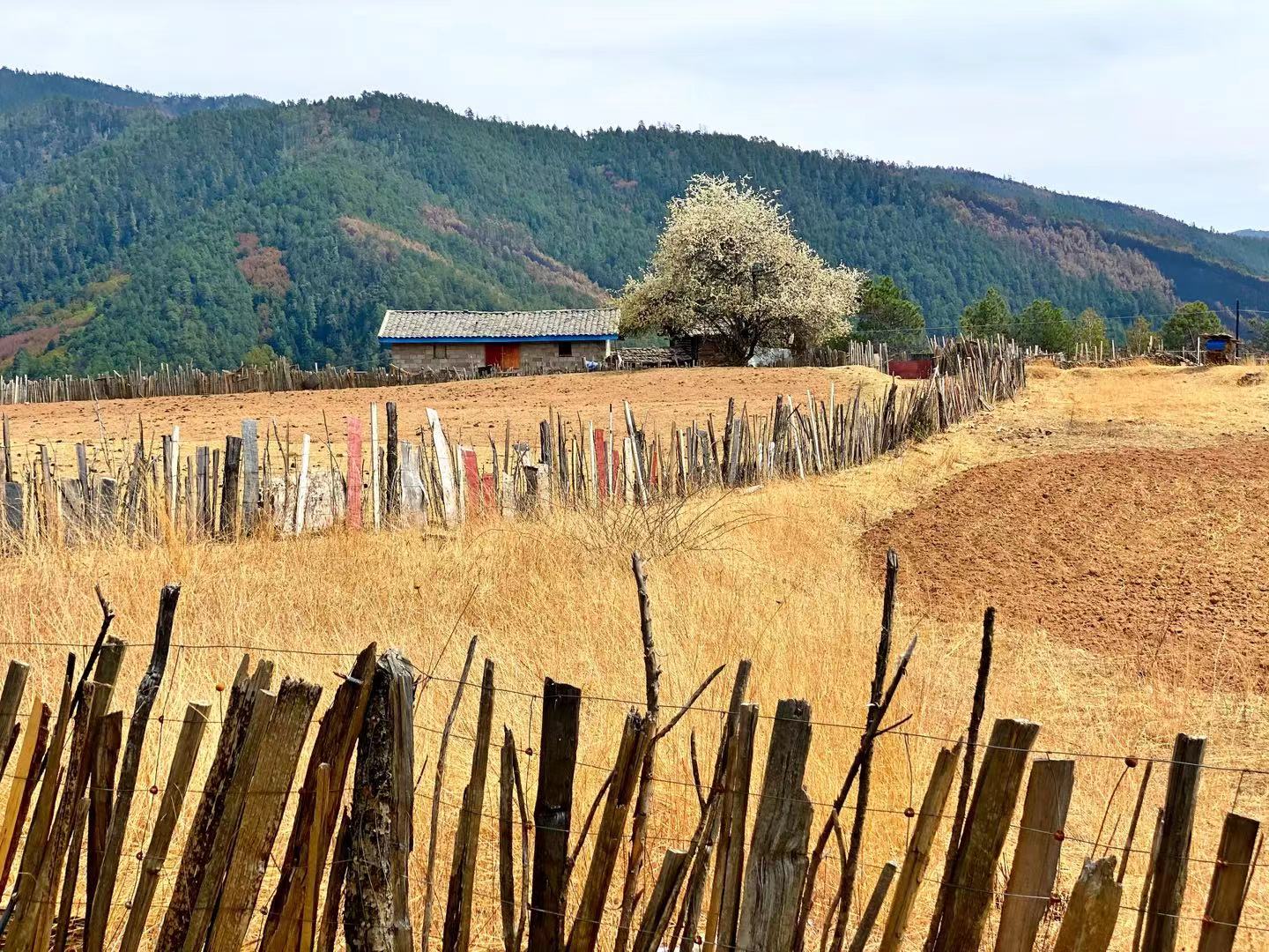 2020摩旅西藏纪录片,木里藏族自治县摩旅