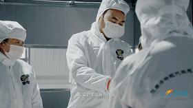 秦岭核桃避坑,秦岭山区致富项目