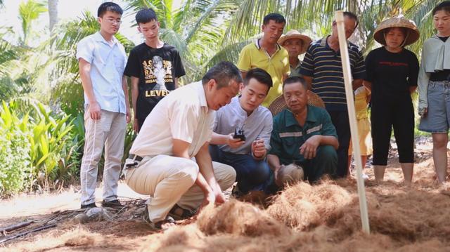 海南椰子的种植方法,椰子怎么种出椰宝