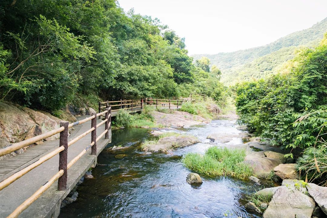 深圳值得去的地标,深圳值得去的景点排行榜