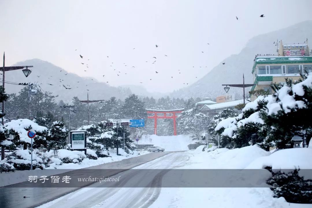 不会日语日本自由行好吗,不会日语的北海道自由行攻略