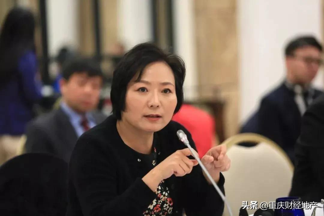 重庆向北,重庆向北与向西