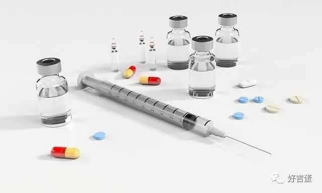 养鸡怎么治虫,养鸡怎么办