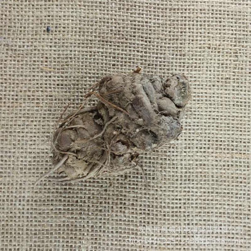 藁本神农本草经,神农本草经葛根原文