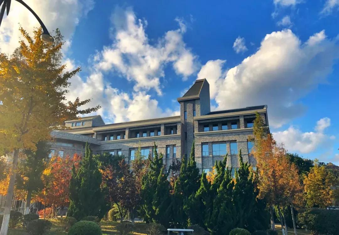 辽宁省民办大学（二）大连东软信息学院