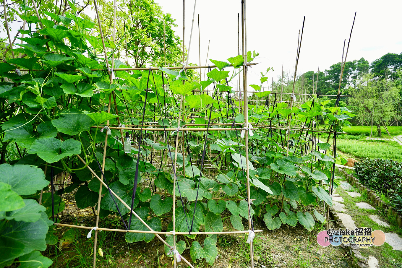 小伙探索神秘洞穴视频,小伙独自探索深山神秘古墓