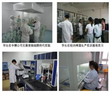 考研成功率高的985,考研成功率高的985大学