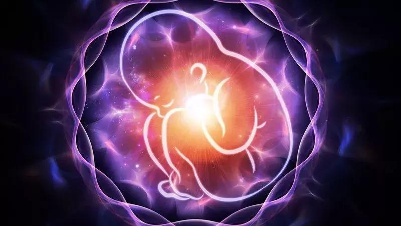 细菌影响基因发展吗,细菌的影响