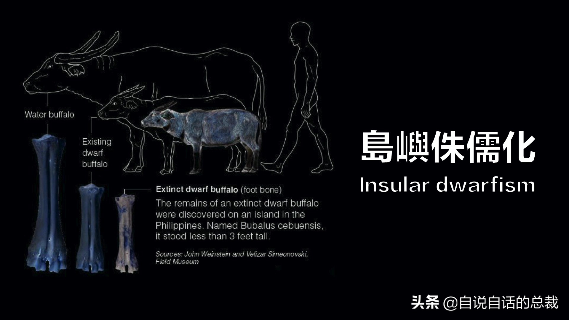 阿努纳奇创造人类7次文明,阿努纳奇人类起源