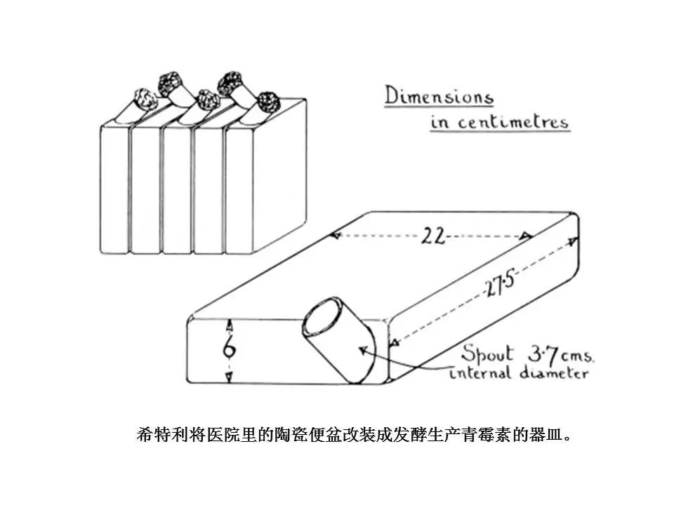 青霉素发明者的故事动画,青霉素的发明过程简介