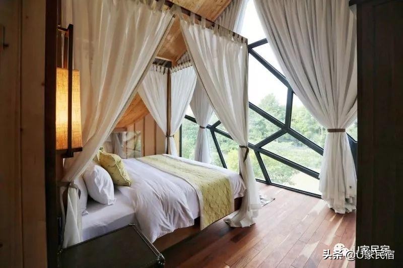 成都首家野奢帐篷酒店，高颜值避世野宿，帐篷听雨树屋观星