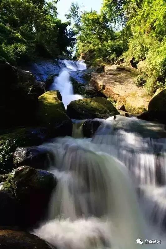 五朵金花抱团,彭州未来的发展
