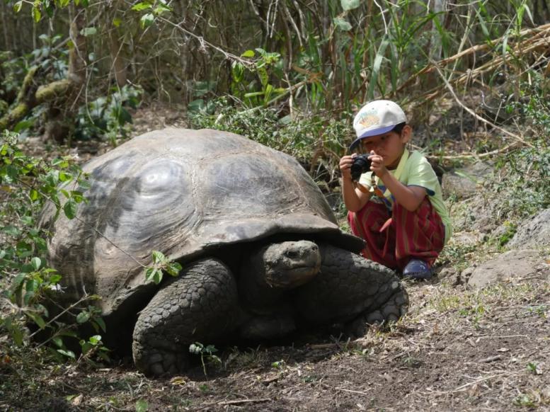 他叫辛巴，不是狮子王，8岁穿越12国：最好的教育，永远在路上