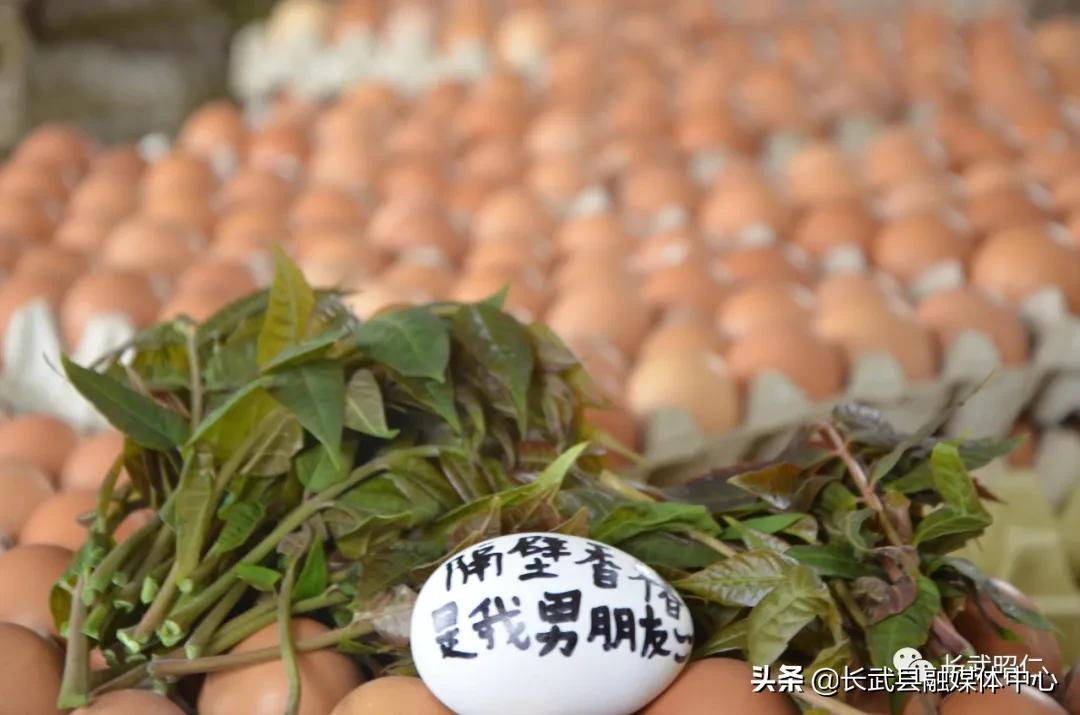 香椿炒鸡蛋的营养价值,冻过的香椿怎样炒鸡蛋