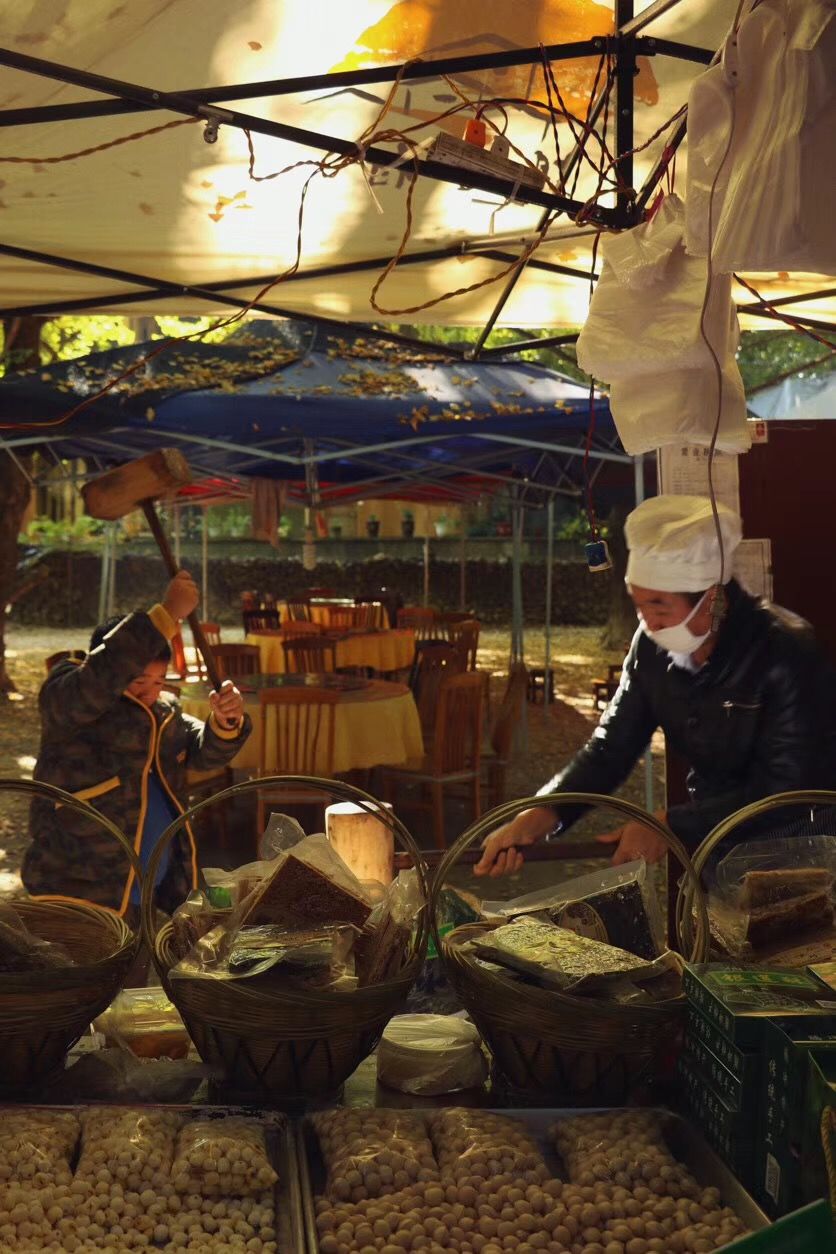 这是一个充满生机的公园怎么说,这是一个充满生机的国度朗诵