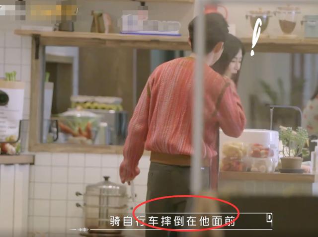 从开始到现在李维嘉,李维嘉以前的样子