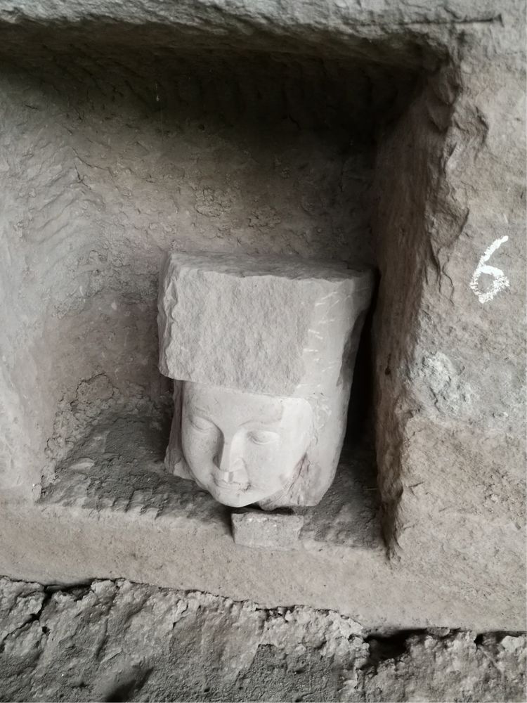 找个去仓山的理由