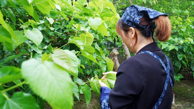 中国最低调小城市,中国最低调小镇