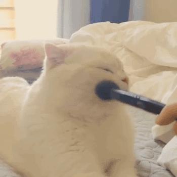 怎么打腮红可以持妆一整天,腮红快速化妆法