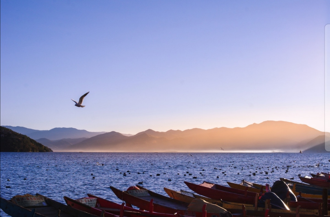 忠忠直直，终须乞食，奸奸狡狡，朝煎晚炒。于谦经典诗词书法作品