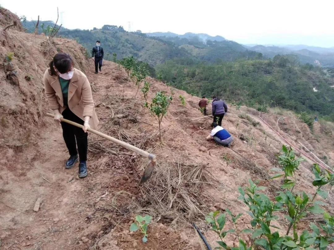 前线有方舱“保护神”，后方有*党**员“服务队”：这场疫情防控阻击战，必赢