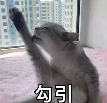 推荐眼影仙女,十大必买大牌眼影排行榜最新