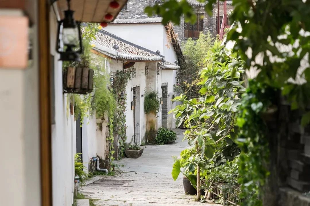 去深圳免费游玩的10个地方,深圳免费游玩景点推荐