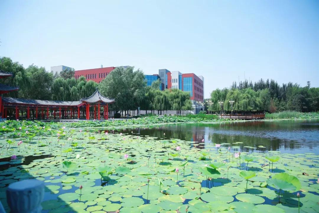 辽宁中医药大学杏林学院有独卫吗,辽宁中医药大学杏林学院属于3+2吗