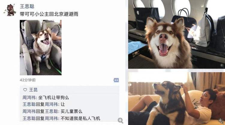 中国富二代张康阳韩国,富二代张康阳对比王思聪