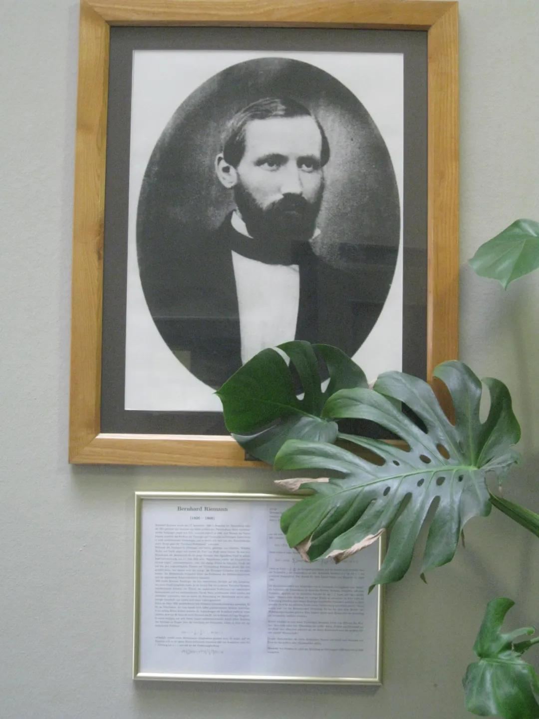 数学家黎曼的简介,数学家黎曼介绍