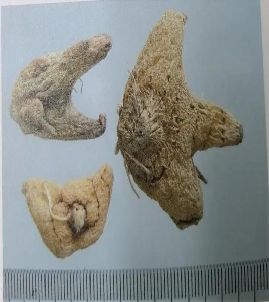 止血收敛的药有哪些,收敛止血中成药有哪些