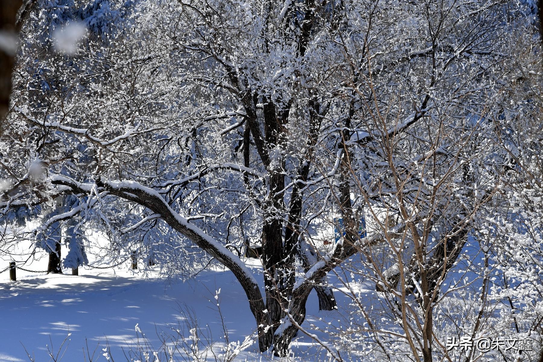 吉林柳河市内景点,吉林柳河冬天