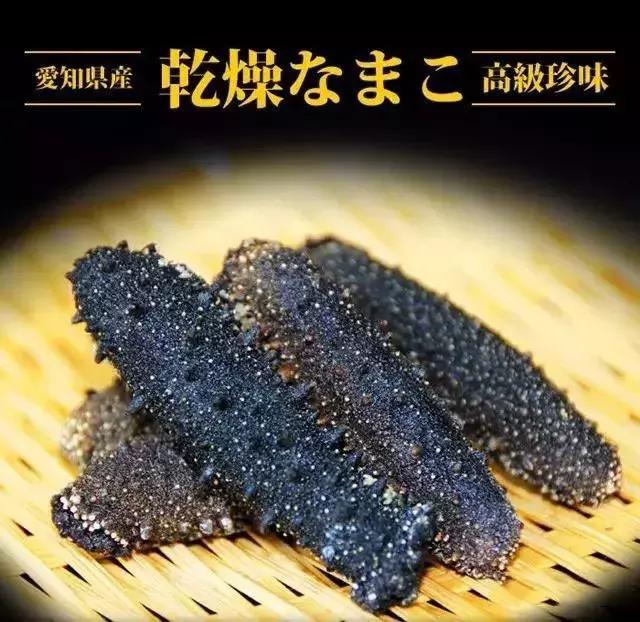 海参界最好的海参,海参物种科普