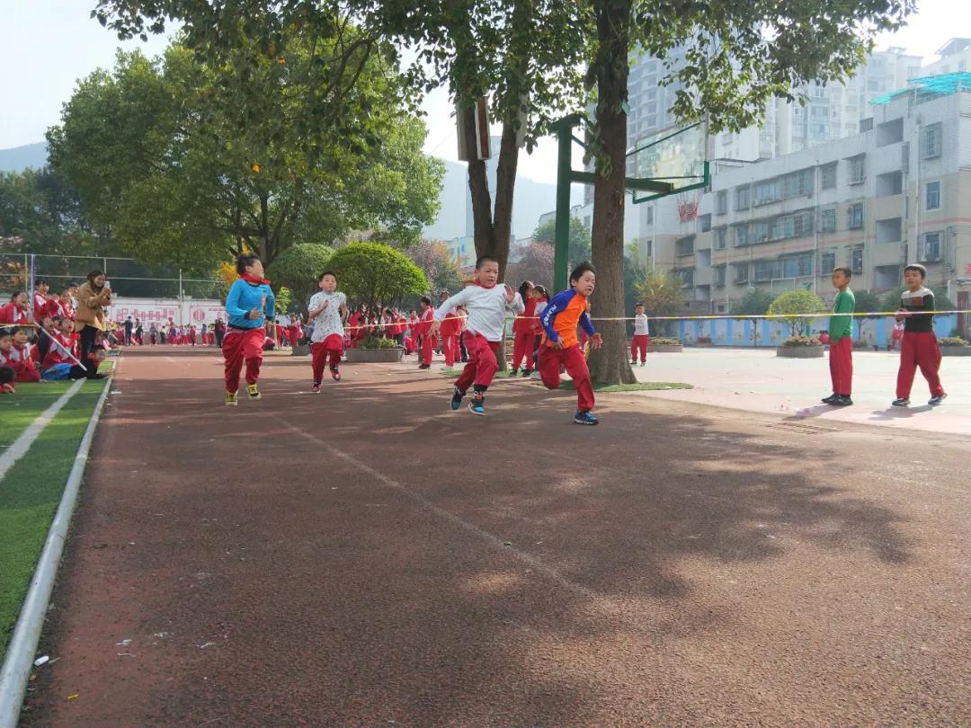 向日葵、比卡丘,嗨翻桐梓这些学校