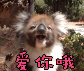 word如何给单词加上划线,word小技巧之划线快捷键