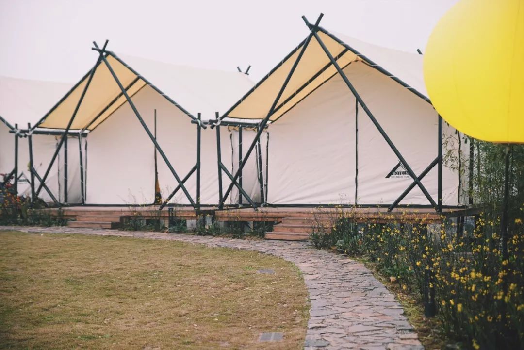 田园风光稻田帐篷,稻田星空露营基地