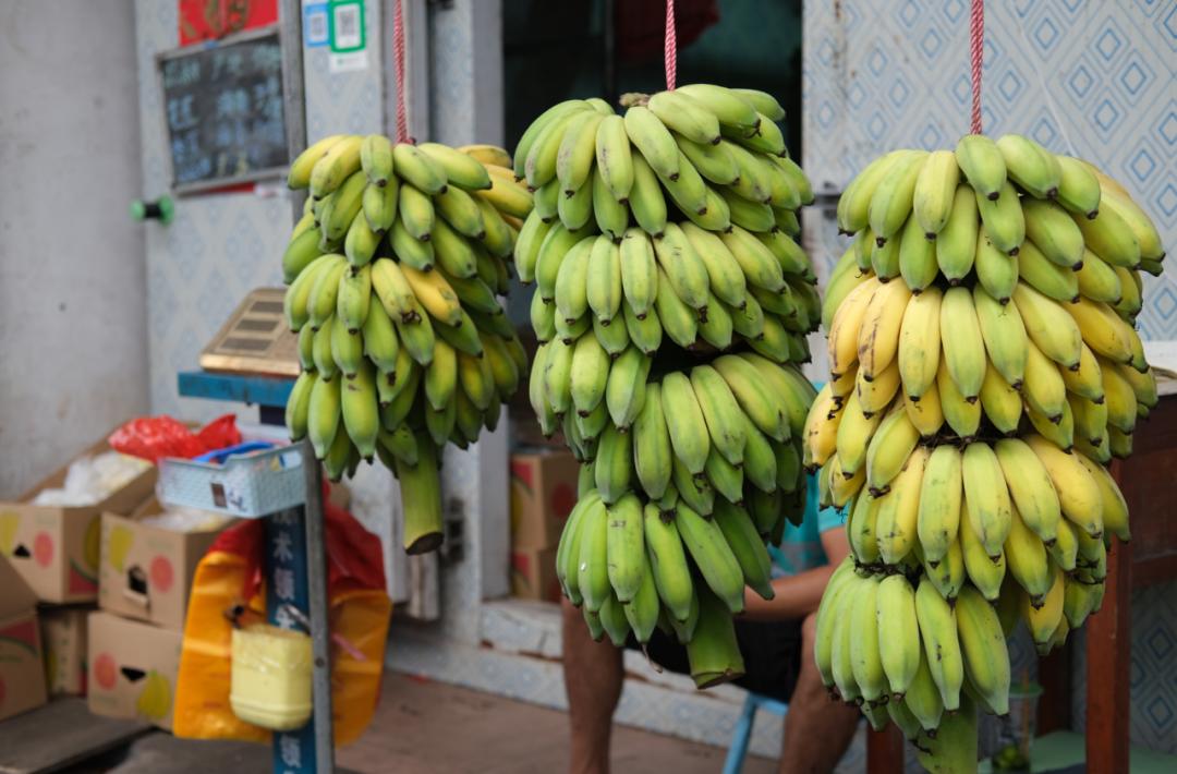焦虑能去海口旅游吗,觉得焦虑就出来散散心