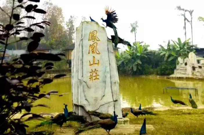 重庆股份转让中心在哪呢,重庆股份转让中心是什么