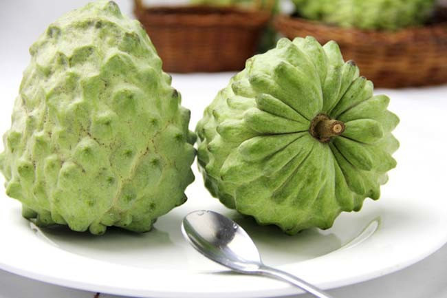 三亚自由行最全攻略,三亚旅行攻略大全最新