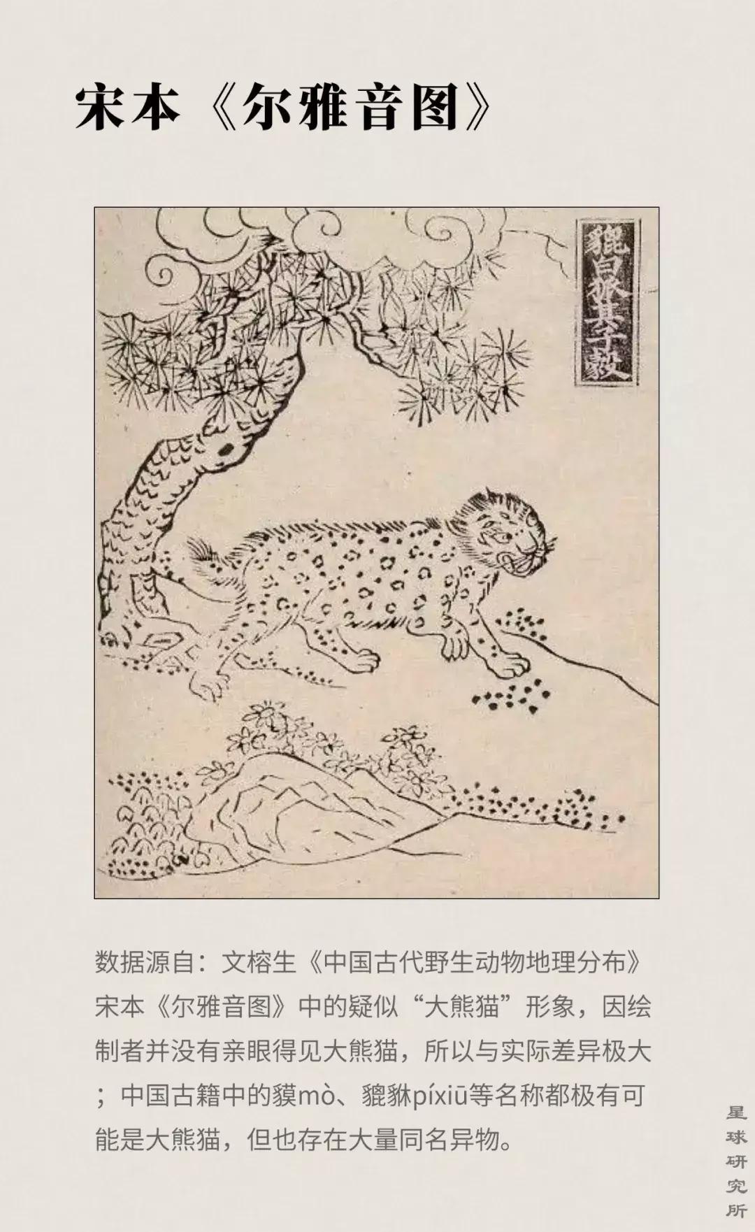 你才可爱你全家都可爱怎么回,你才可爱你全家都可爱出处