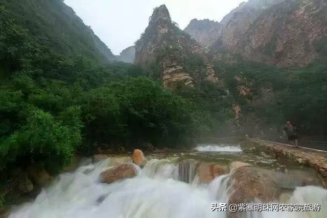 梨木台景林农家院,梨木台景林农家院直播