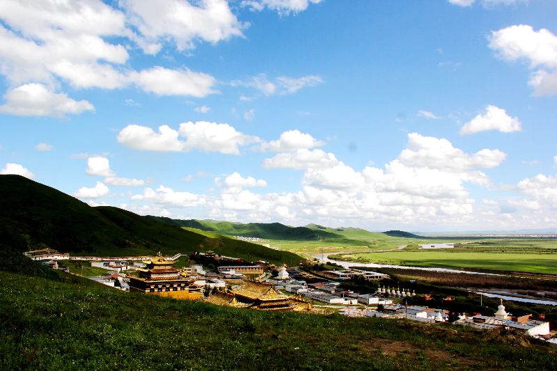 故地重游若尔盖草原美丽依旧,重游若尔盖红原大草原