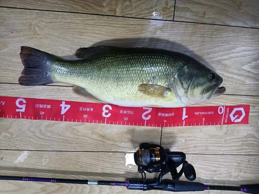 「渔获名人堂周榜」这两位粉丝钓友，你们太牛了