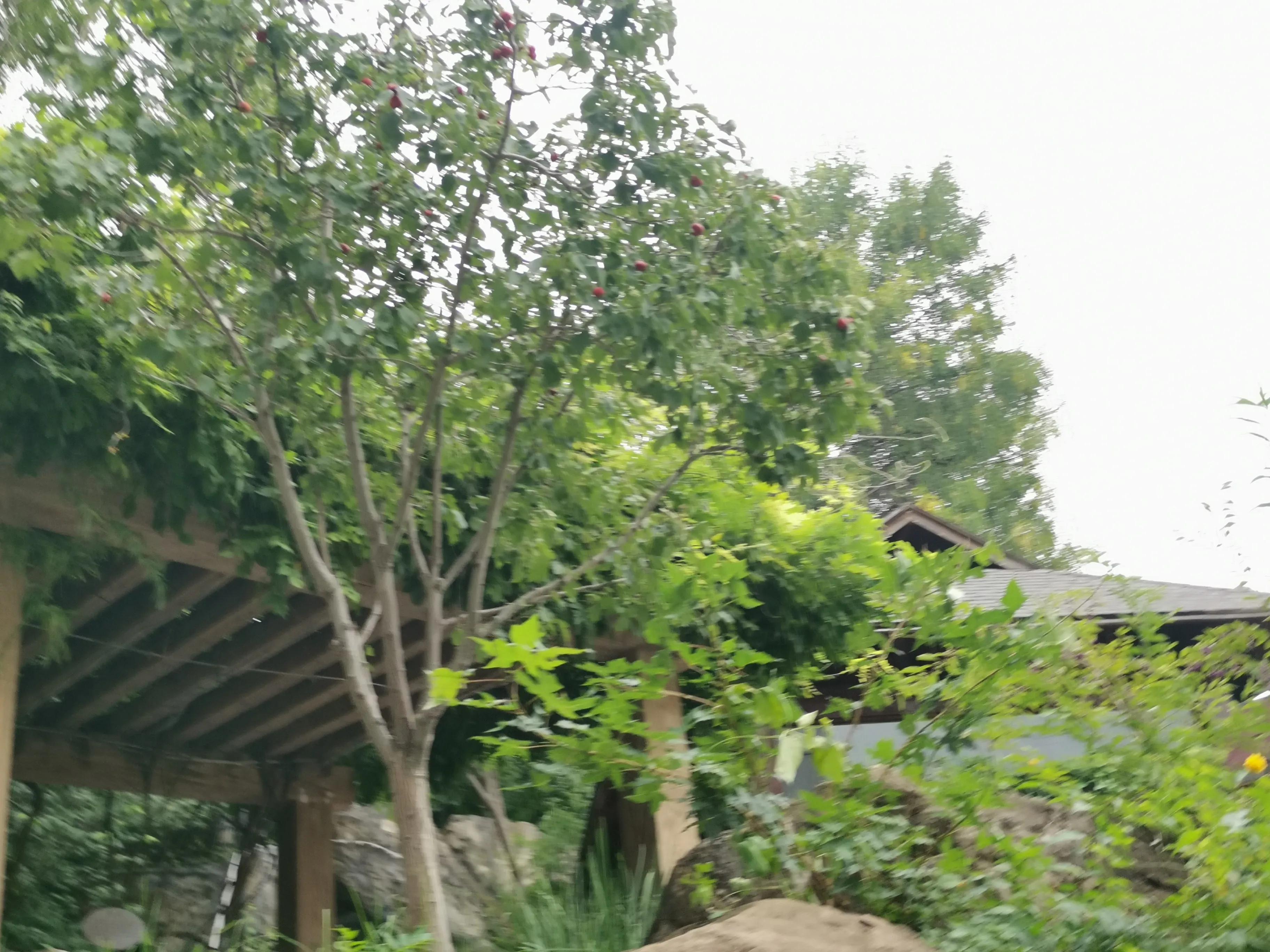 凤山温泉,北京金隅凤山温泉特色