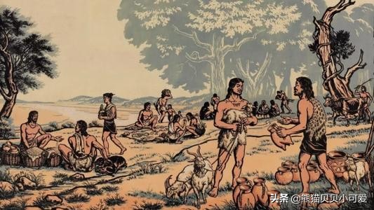 商铺故事100个,商铺历史由来与演变短片