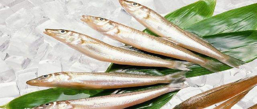 被公认最好吃的15种淡水鱼,十种公认好吃的淡水鱼