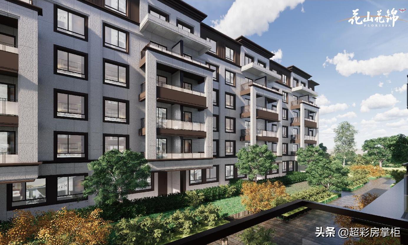 东湖高新最好的二手房楼盘,武汉东湖有什么楼盘推荐