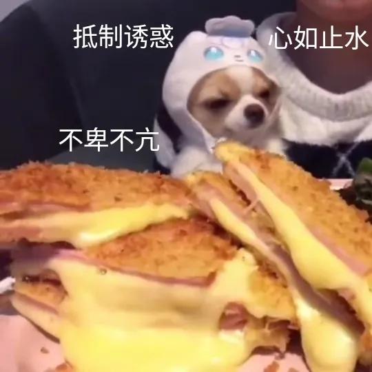 长湿疹就是太“湿”了？华西皮肤科李萌萌：no！越“干”越恼火