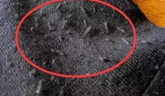 衣服上的毛絮怎么放洗衣机处理,洗衣机洗的衣服沾满毛絮