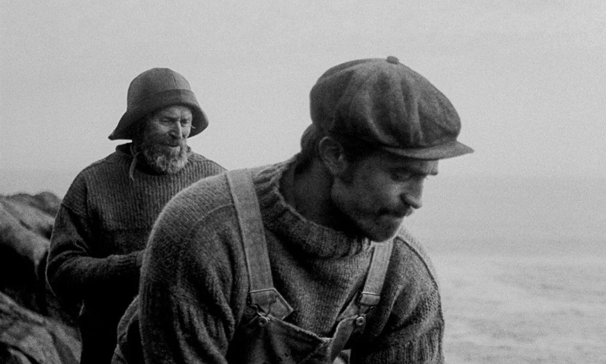 2021年十部最好看的恐怖电影,2021年10大最恐怖电影